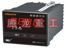 溫度表、數(shù)字顯示儀、濕度表