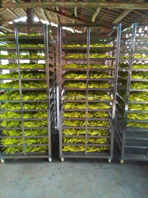 黃花菜烘干機(jī)、黃花菜烘干設(shè)備、黃花菜干燥機(jī)、黃花菜干燥設(shè)備、
